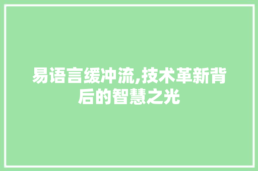 易语言缓冲流,技术革新背后的智慧之光