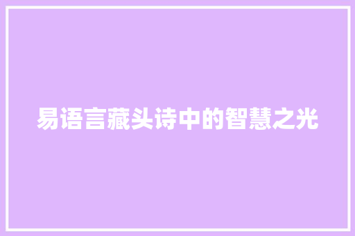 易语言藏头诗中的智慧之光