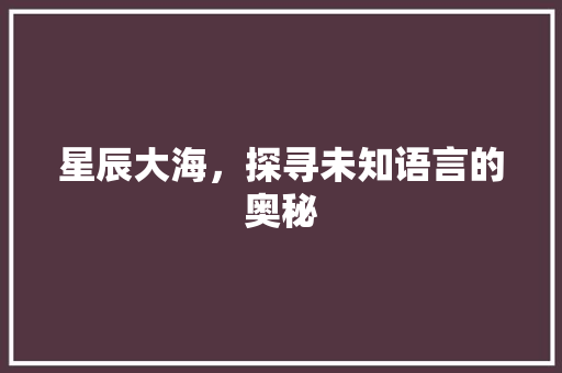 星辰大海，探寻未知语言的奥秘 PHP