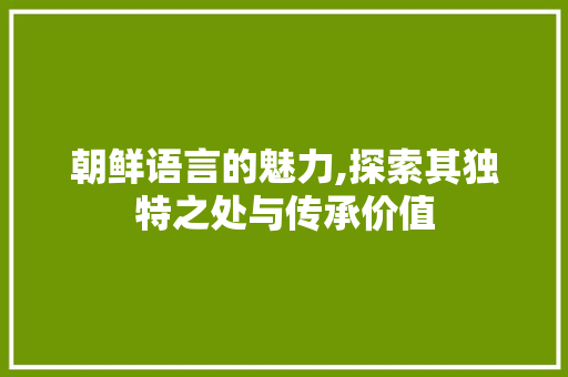 朝鲜语言的魅力,探索其独特之处与传承价值