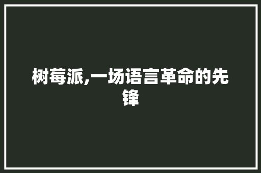 树莓派,一场语言革命的先锋