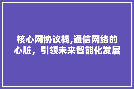 核心网协议栈,通信网络的心脏，引领未来智能化发展