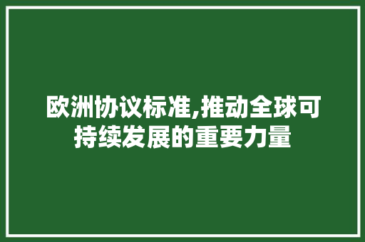 欧洲协议标准,推动全球可持续发展的重要力量