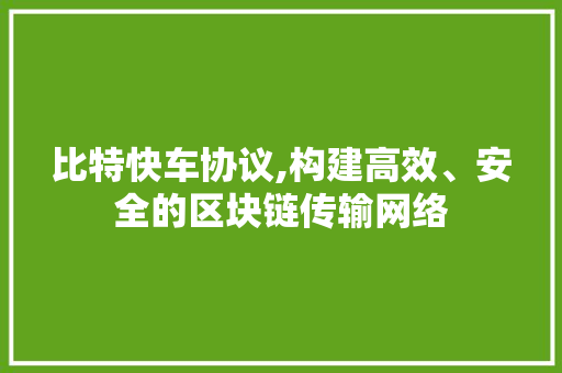 比特快车协议,构建高效、安全的区块链传输网络