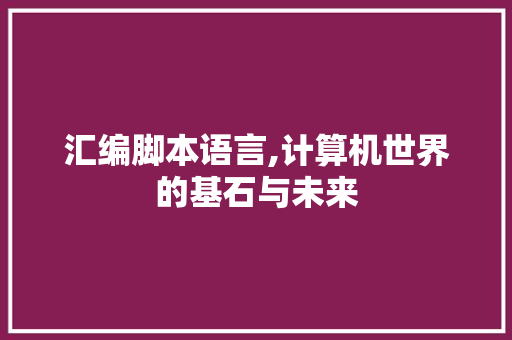 汇编脚本语言,计算机世界的基石与未来