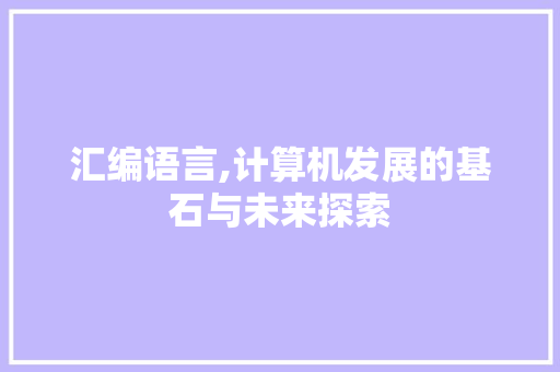 汇编语言,计算机发展的基石与未来探索