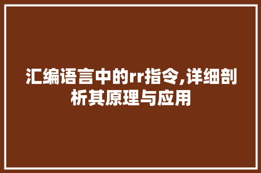 汇编语言中的rr指令,详细剖析其原理与应用