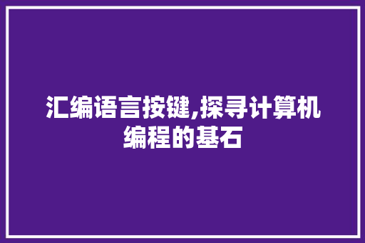 汇编语言按键,探寻计算机编程的基石