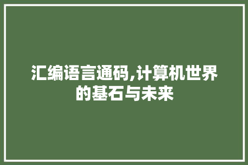 汇编语言通码,计算机世界的基石与未来