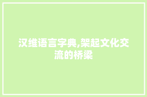 汉维语言字典,架起文化交流的桥梁 Python