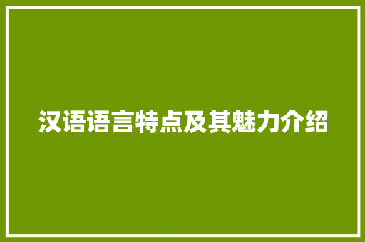 汉语语言特点及其魅力介绍