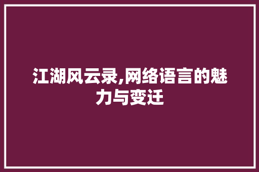 江湖风云录,网络语言的魅力与变迁