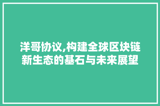 洋哥协议,构建全球区块链新生态的基石与未来展望