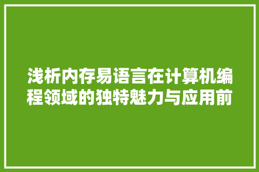 浅析内存易语言在计算机编程领域的独特魅力与应用前景