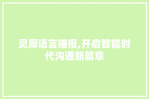 灵犀语言播报,开启智能时代沟通新篇章 CSS