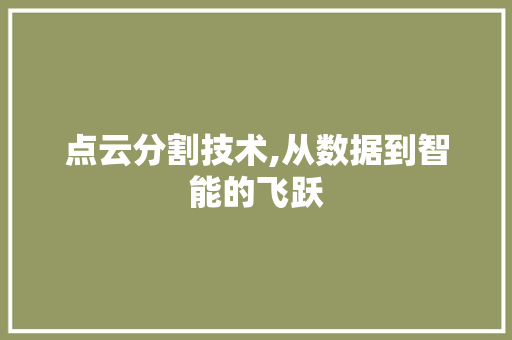 点云分割技术,从数据到智能的飞跃