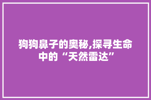 狗狗鼻子的奥秘,探寻生命中的“天然雷达”