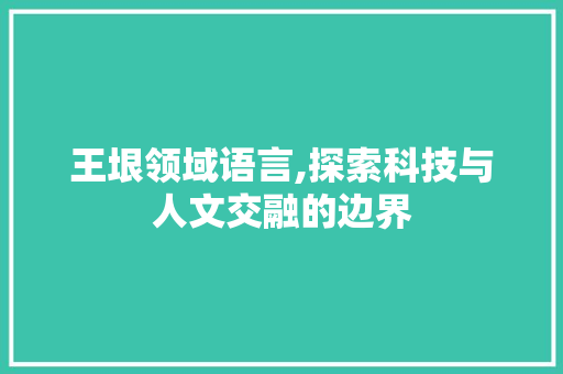 王垠领域语言,探索科技与人文交融的边界