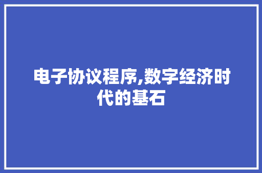 电子协议程序,数字经济时代的基石