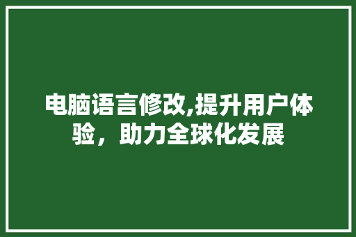 电脑语言修改,提升用户体验，助力全球化发展