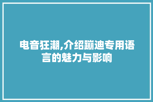 电音狂潮,介绍蹦迪专用语言的魅力与影响