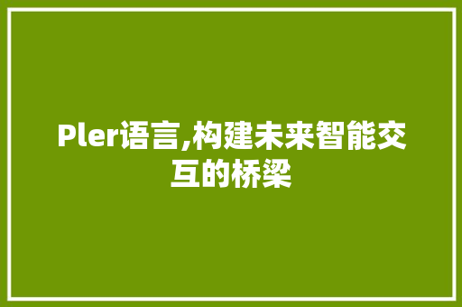 Pler语言,构建未来智能交互的桥梁