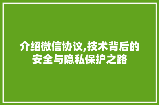 介绍微信协议,技术背后的安全与隐私保护之路 React