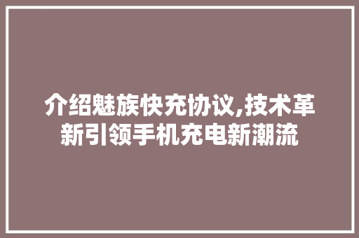 介绍魅族快充协议,技术革新引领手机充电新潮流