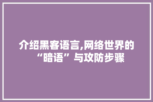 介绍黑客语言,网络世界的“暗语”与攻防步骤