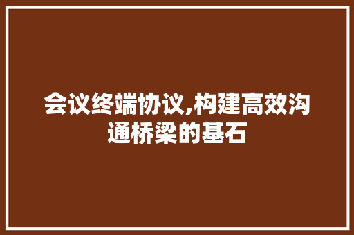 会议终端协议,构建高效沟通桥梁的基石 Ruby