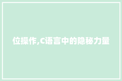 位操作,C语言中的隐秘力量