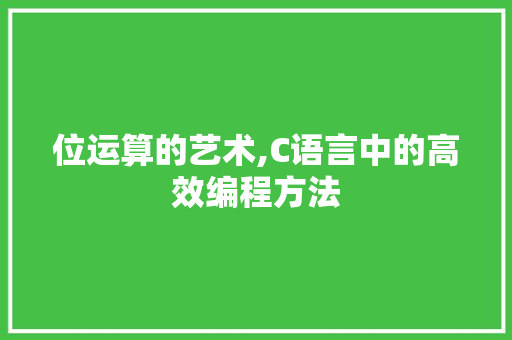 位运算的艺术,C语言中的高效编程方法