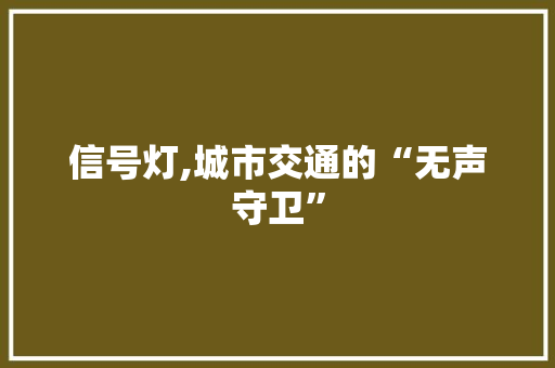 信号灯,城市交通的“无声守卫” PHP