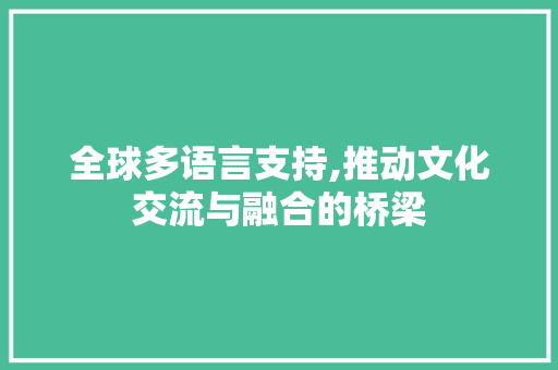 全球多语言支持,推动文化交流与融合的桥梁