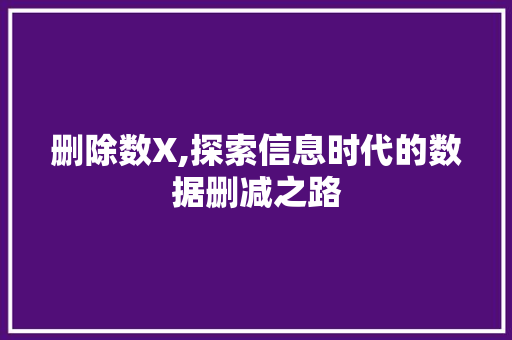 删除数X,探索信息时代的数据删减之路