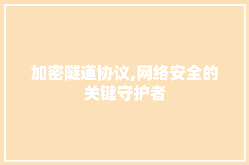 加密隧道协议,网络安全的关键守护者