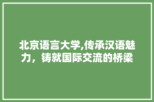 北京语言大学,传承汉语魅力，铸就国际交流的桥梁