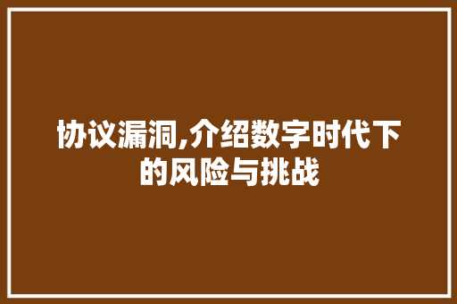 协议漏洞,介绍数字时代下的风险与挑战