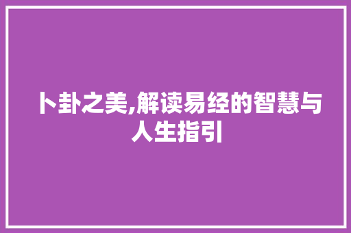 卜卦之美,解读易经的智慧与人生指引