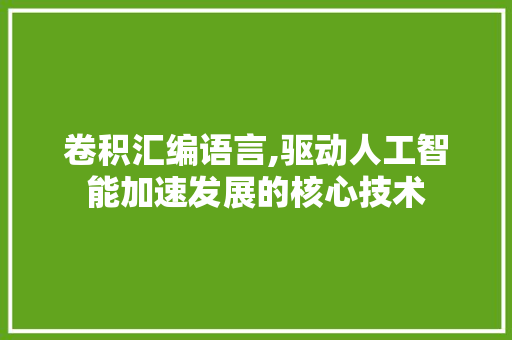 卷积汇编语言,驱动人工智能加速发展的核心技术 PHP