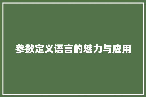 参数定义语言的魅力与应用