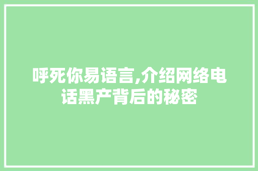 呼死你易语言,介绍网络电话黑产背后的秘密 RESTful API