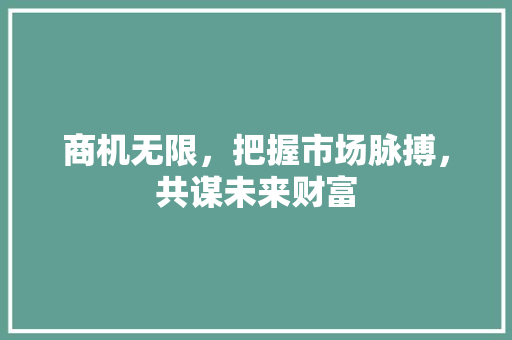 商机无限，把握市场脉搏，共谋未来财富