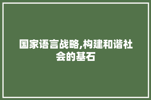 国家语言战略,构建和谐社会的基石