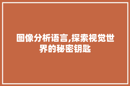 图像分析语言,探索视觉世界的秘密钥匙 CSS