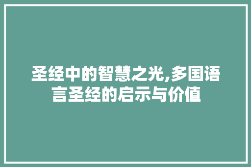 圣经中的智慧之光,多国语言圣经的启示与价值