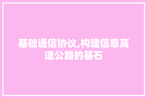 基础通信协议,构建信息高速公路的基石 JavaScript