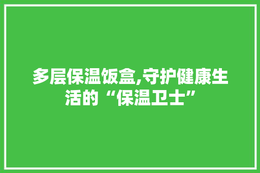 多层保温饭盒,守护健康生活的“保温卫士”