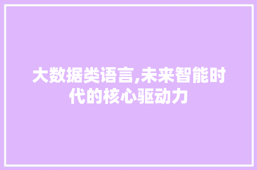 大数据类语言,未来智能时代的核心驱动力