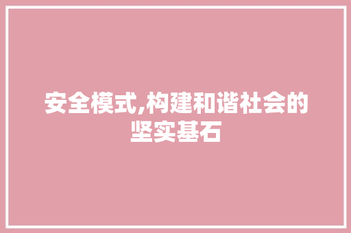 安全模式,构建和谐社会的坚实基石